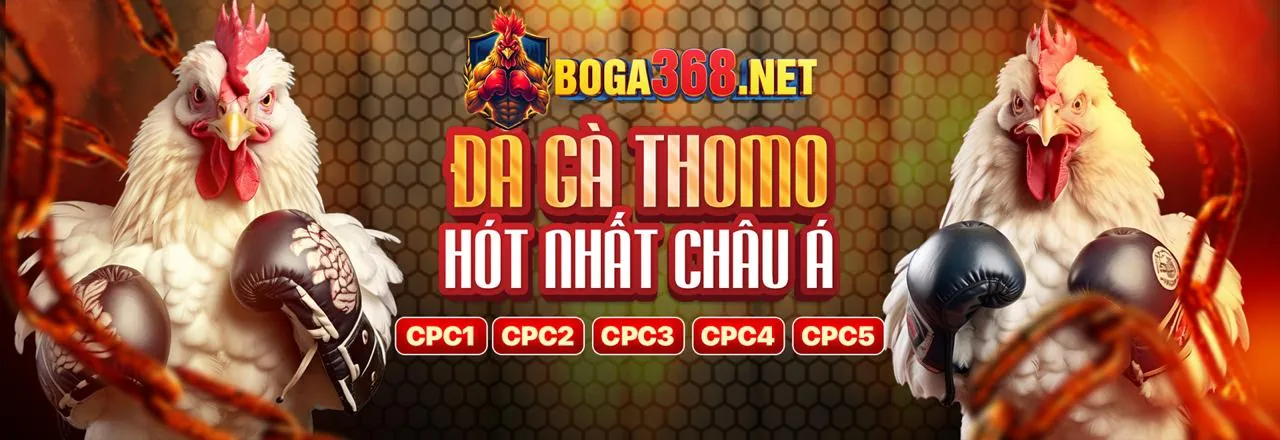 Hình ảnh khuyến mãi FB88 hấp dẫn